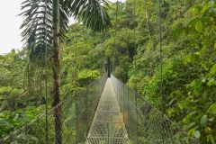 costa-rica-monteverde-03-globe-trotting