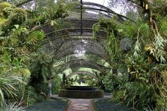bali-jardin-botanique-bedugul-01-globe-trotting